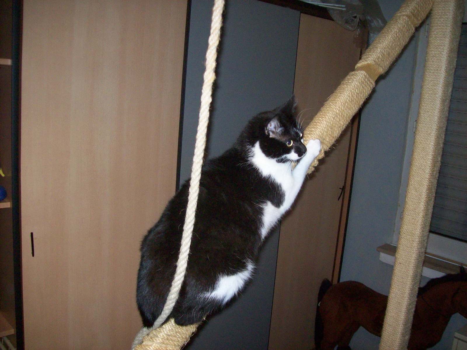 100_1172.JPG