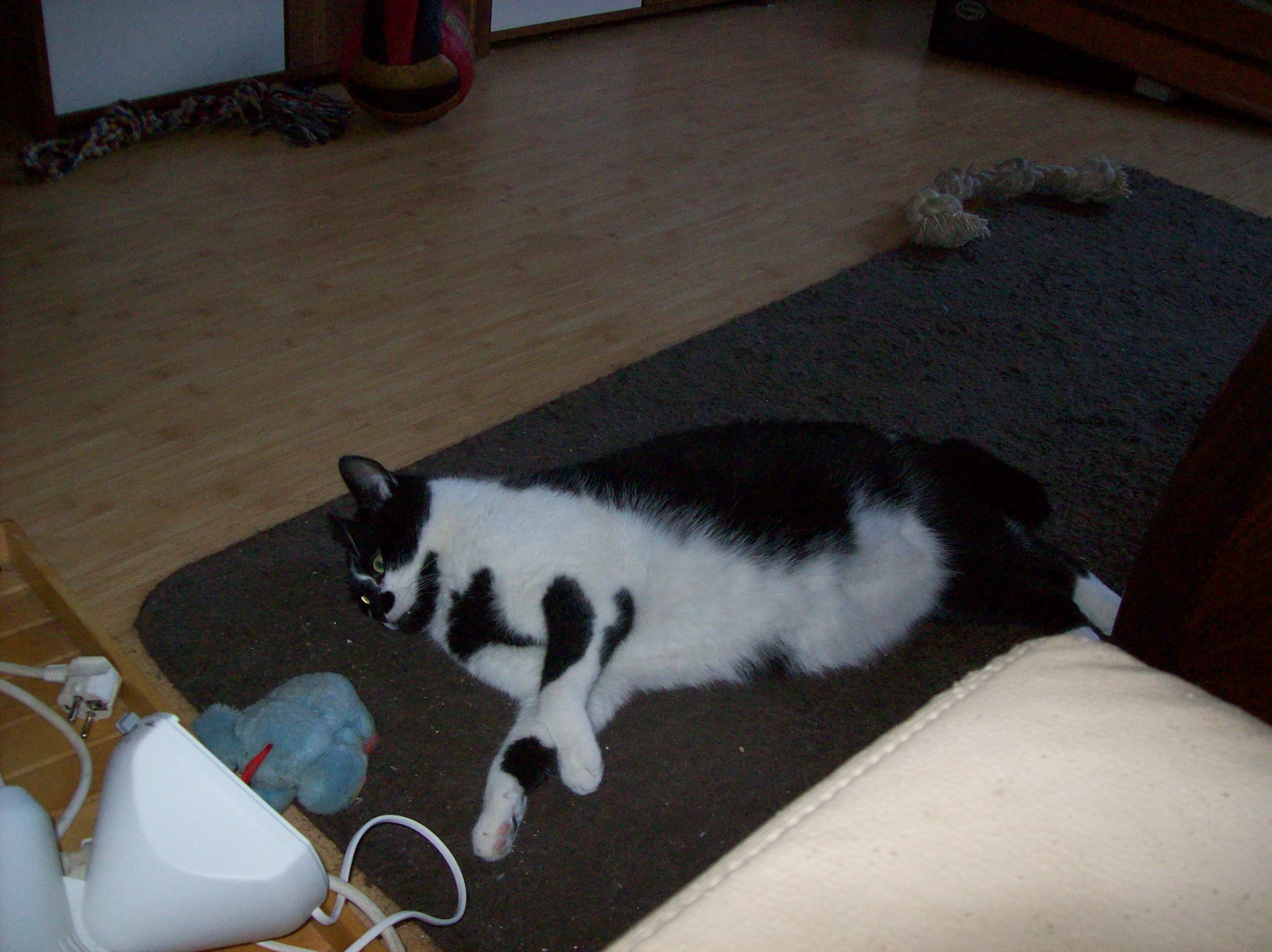 100_1201.JPG