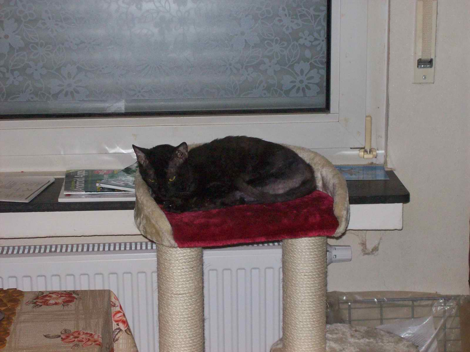 100_1291.JPG