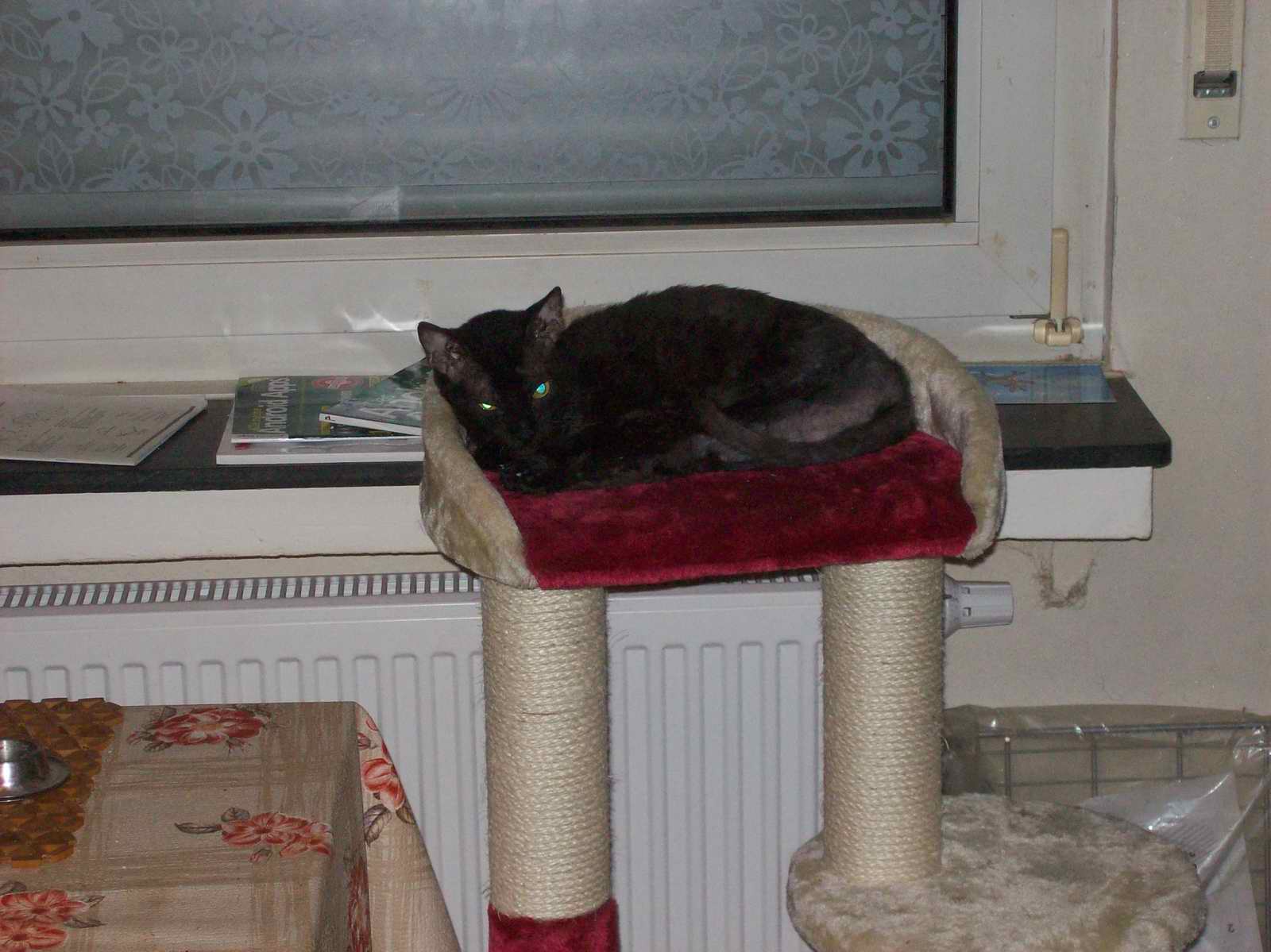 100_1292.JPG