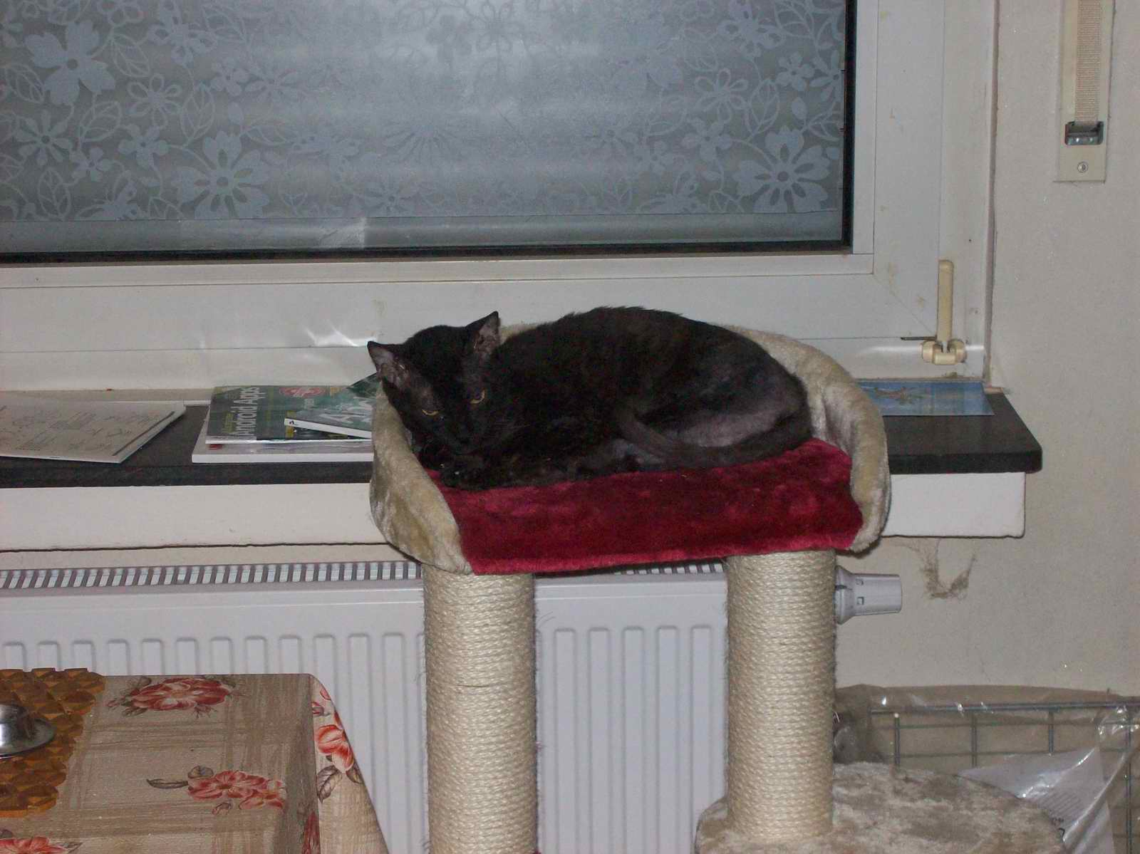 100_1293.JPG