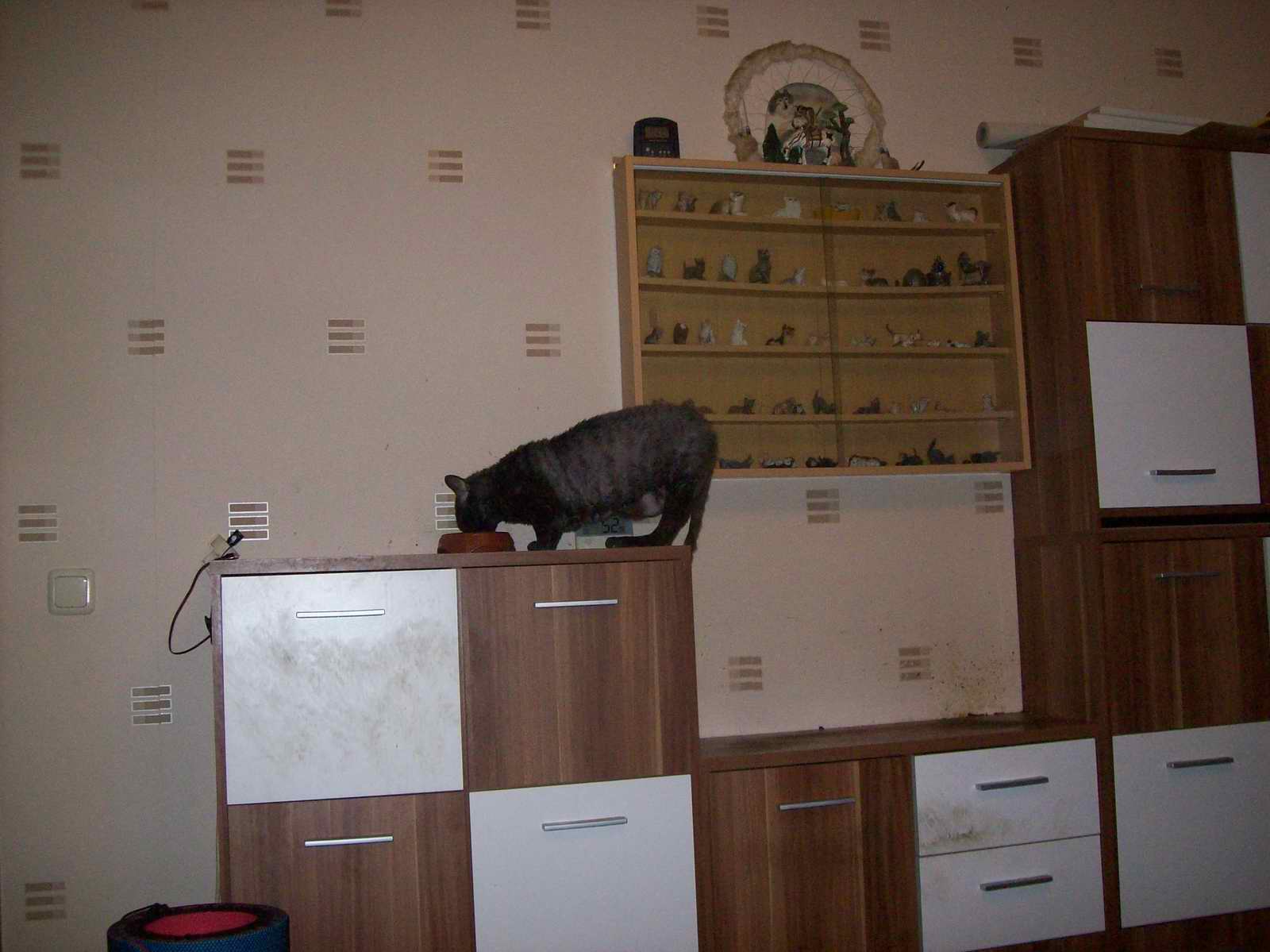 100_1378.JPG
