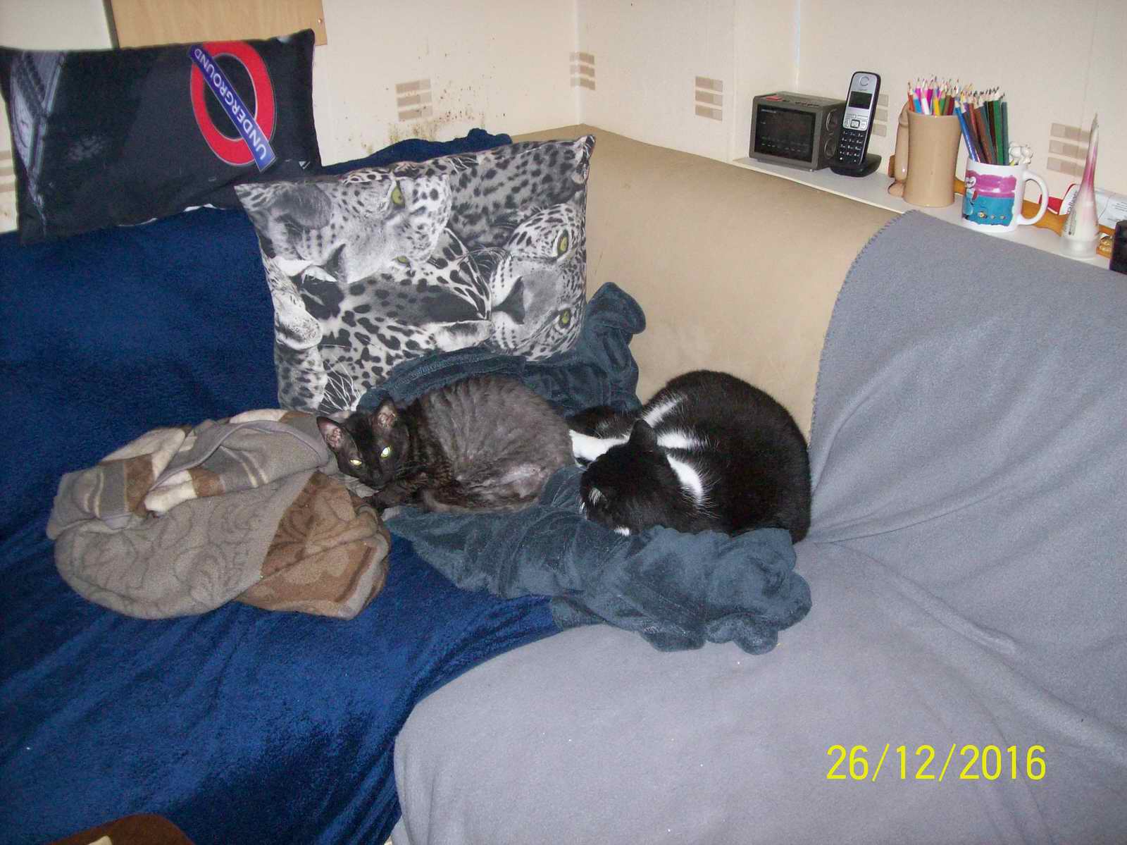 100_1433.JPG
