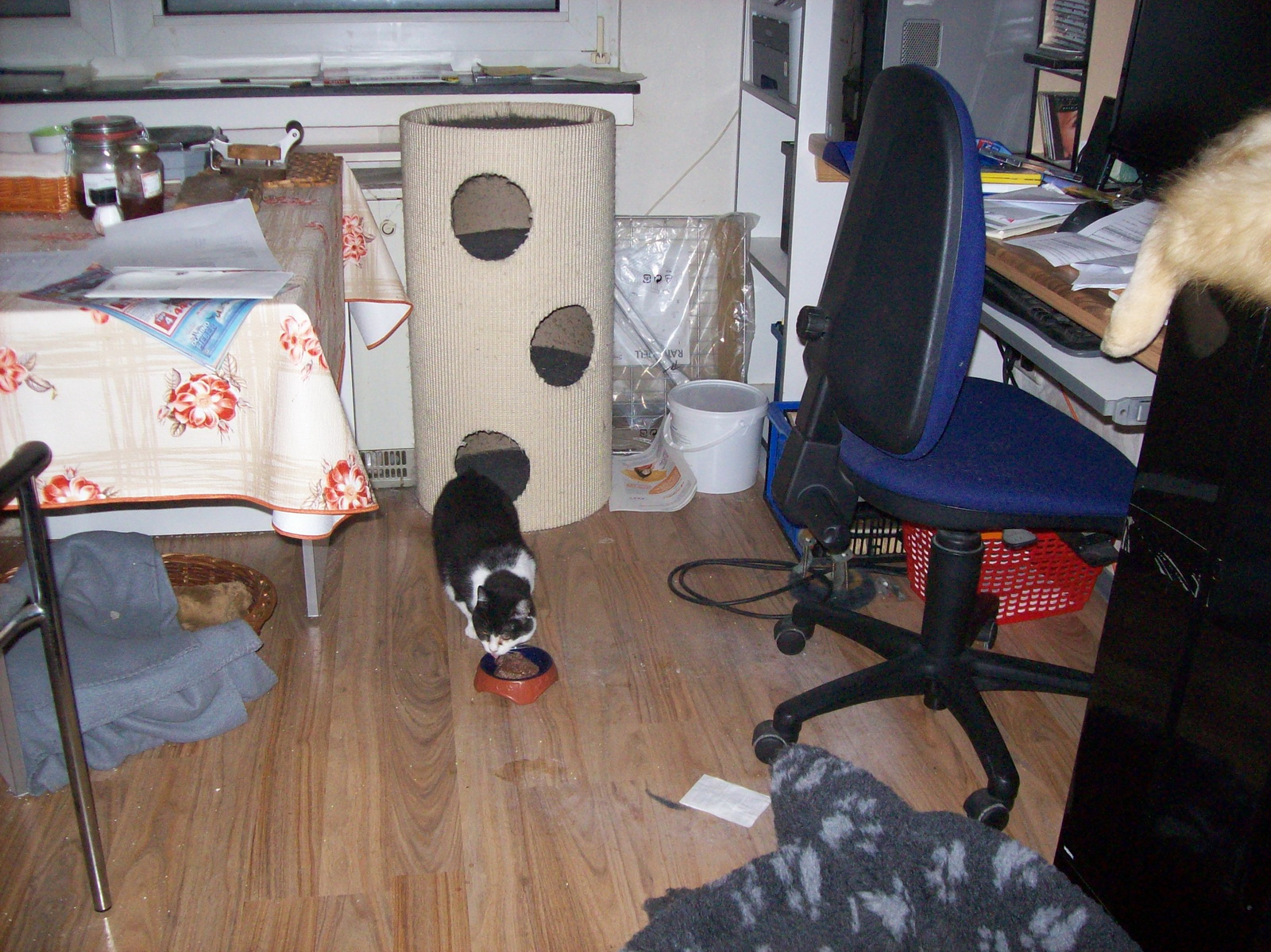 100_1167.JPG