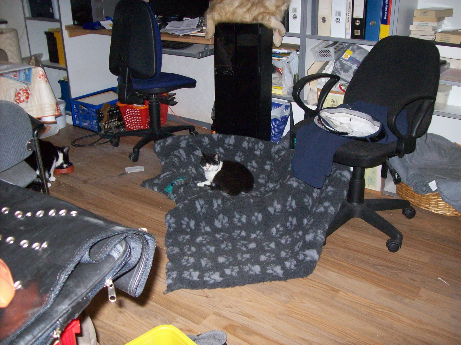 100_1175.JPG