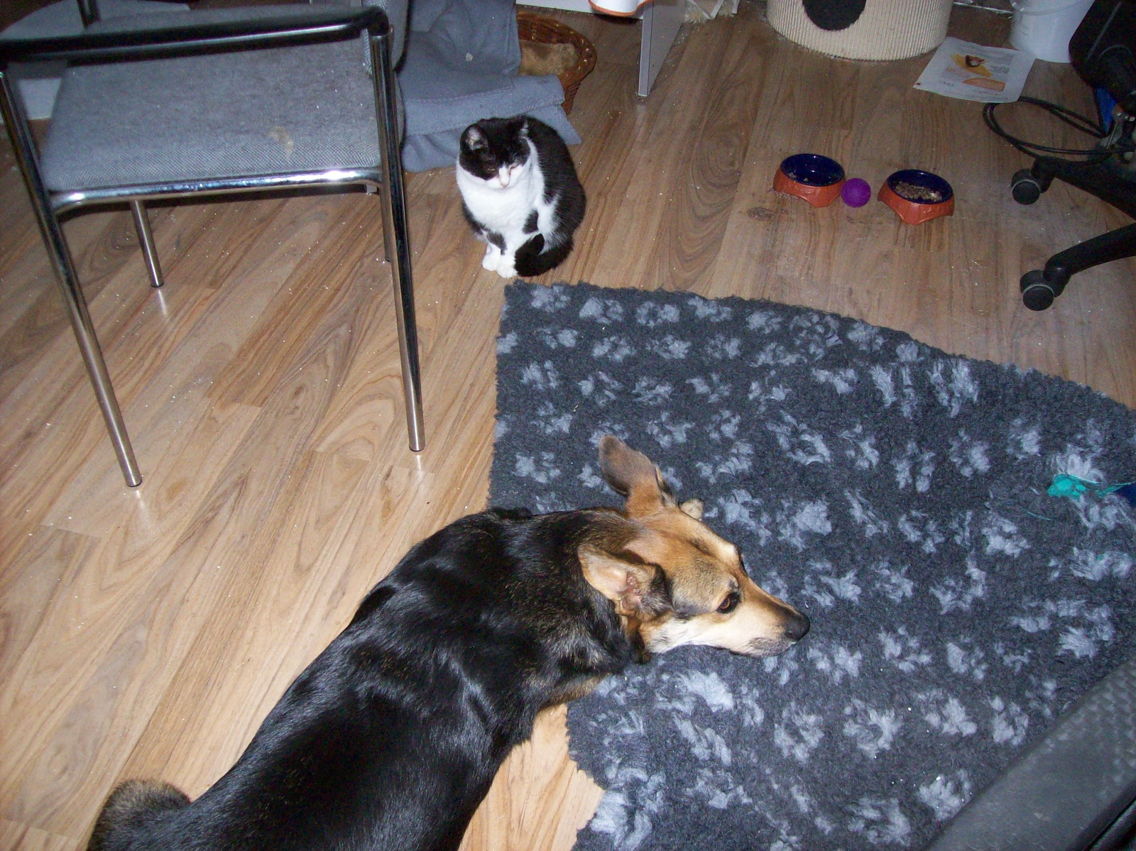 100_1183.JPG