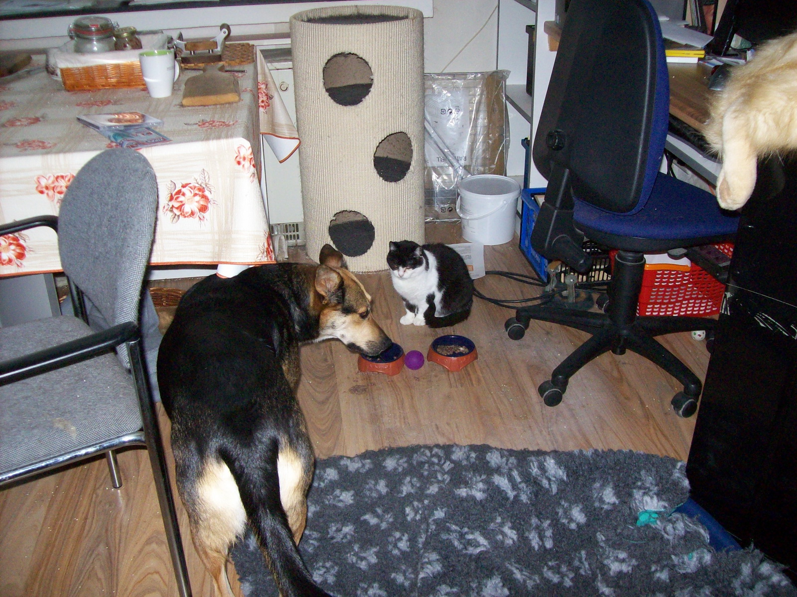 100_1185.JPG
