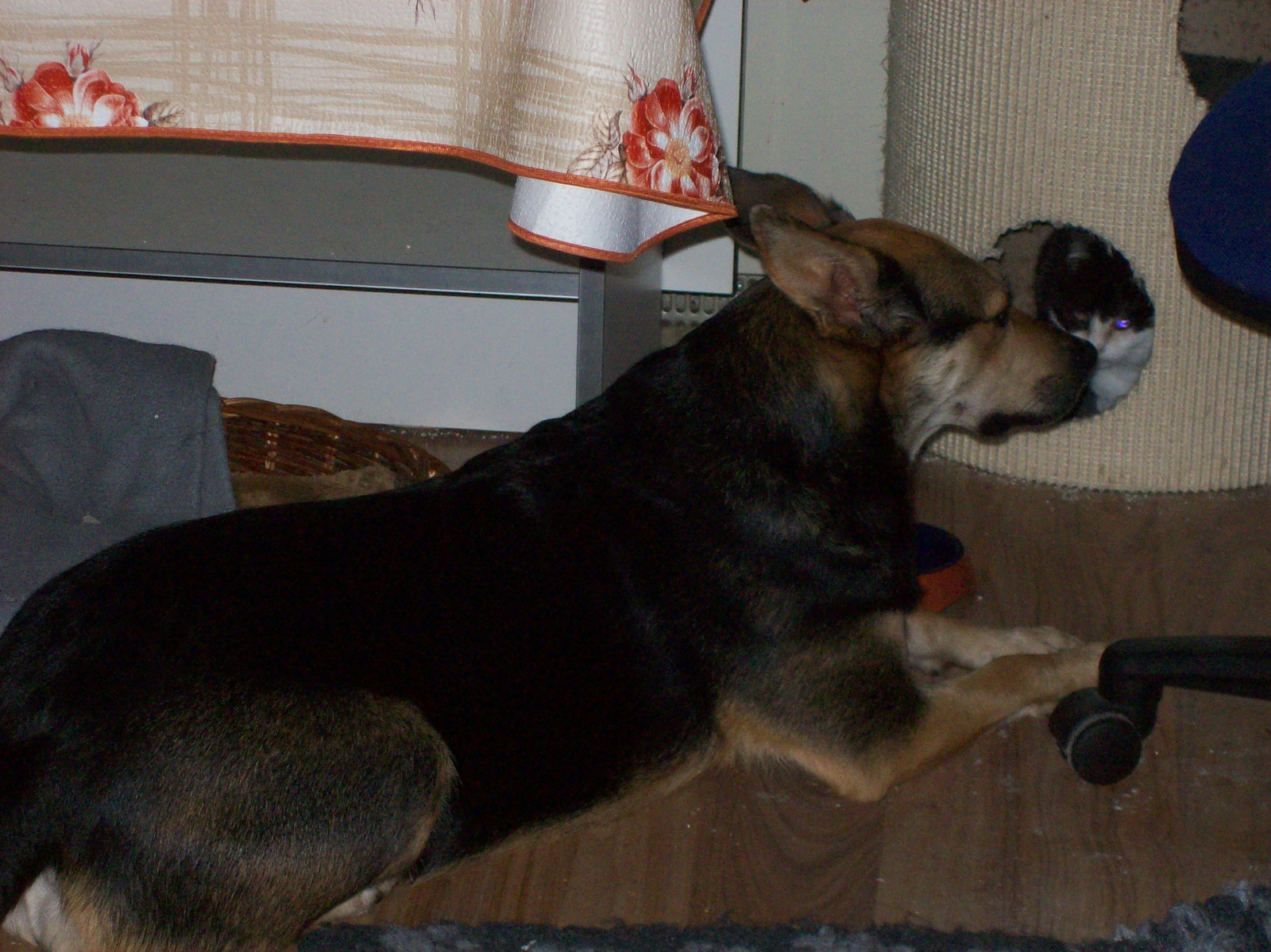 100_1189.JPG