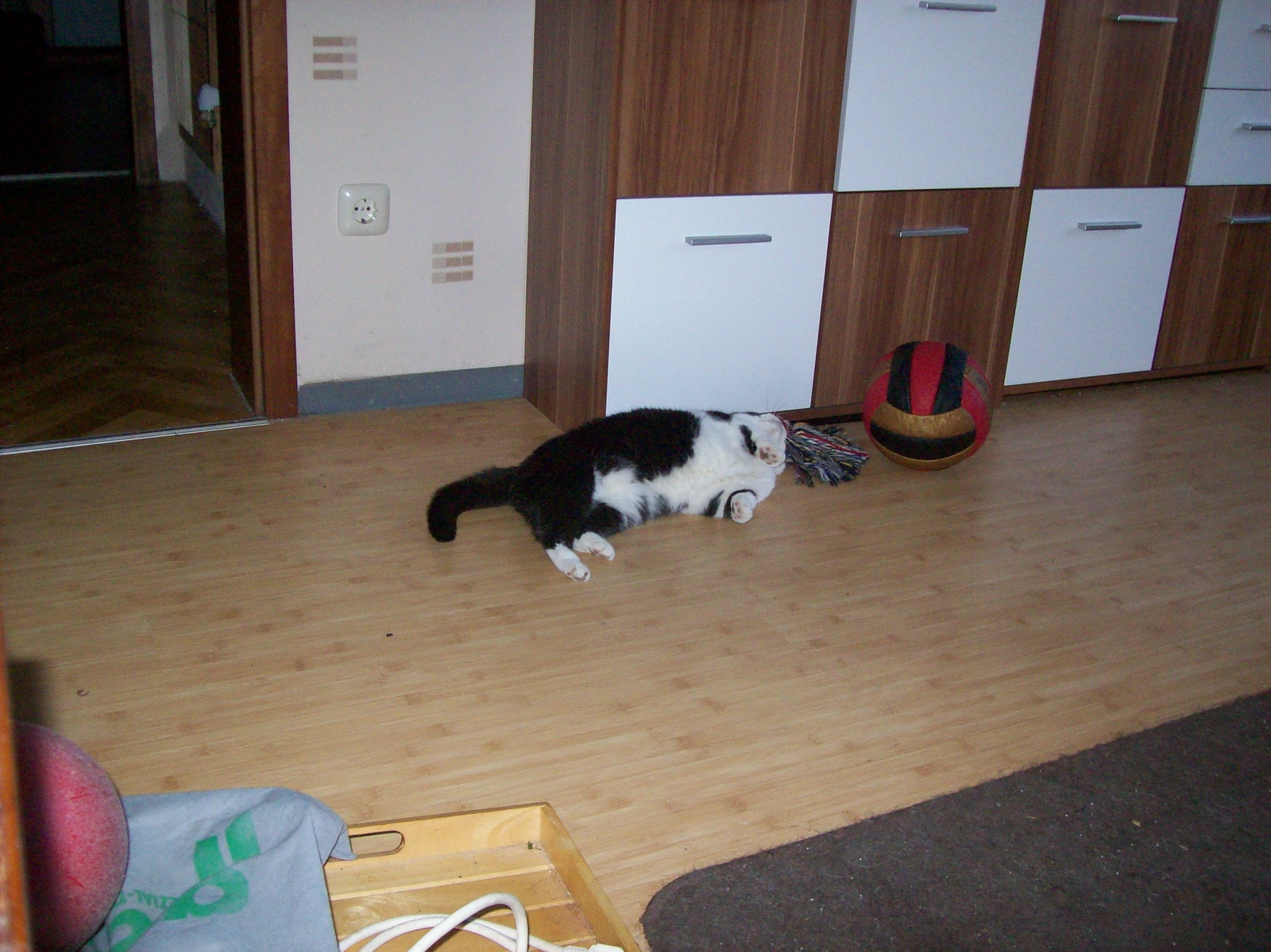 100_1198.JPG
