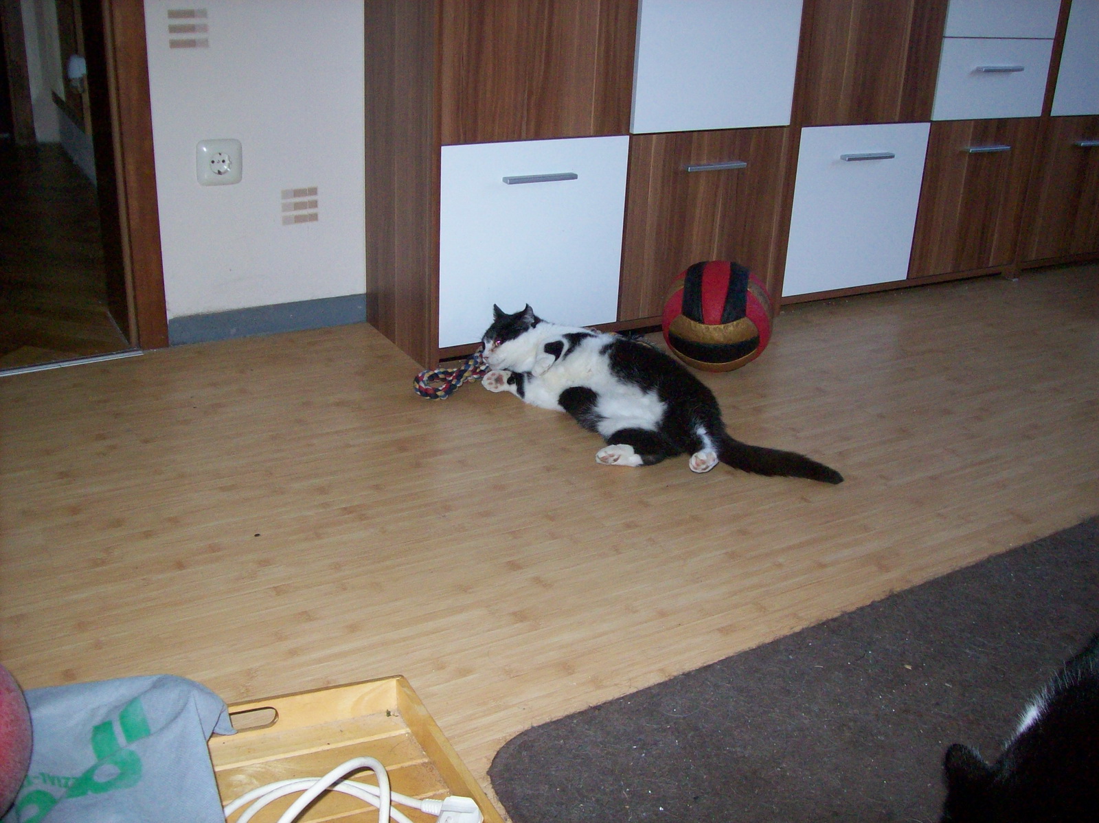 100_1199.JPG