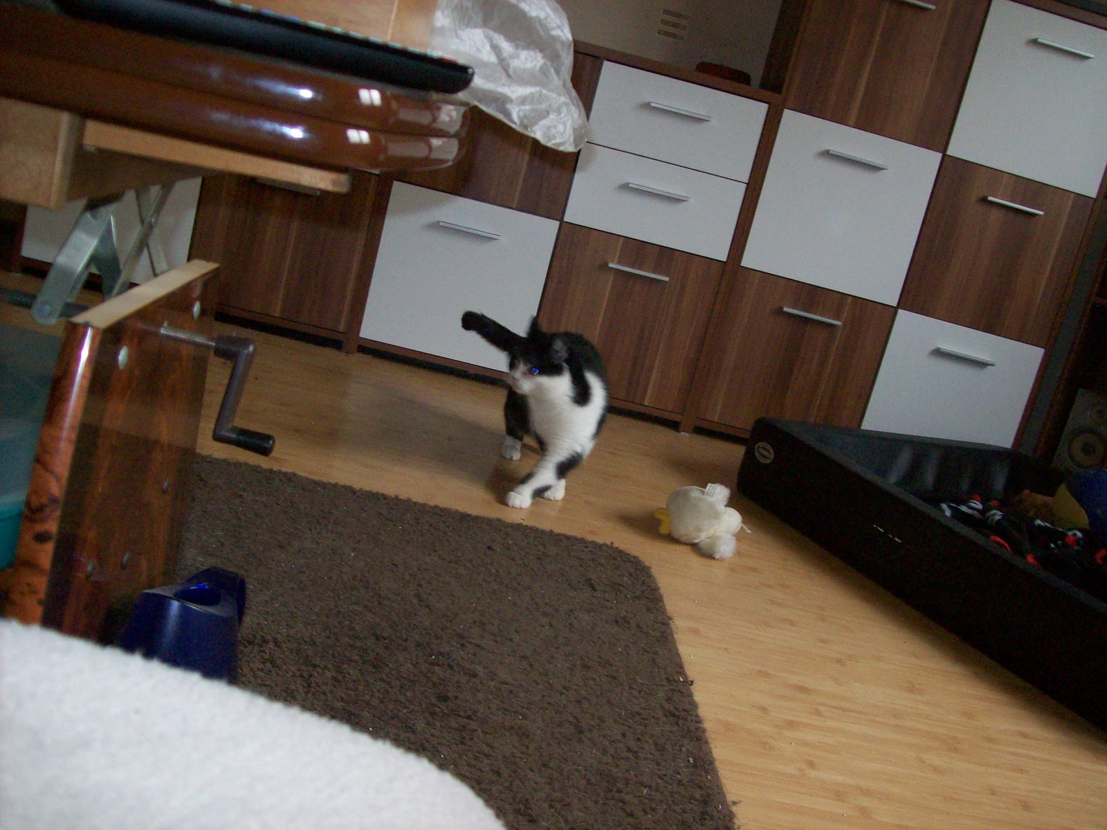 100_1202.JPG