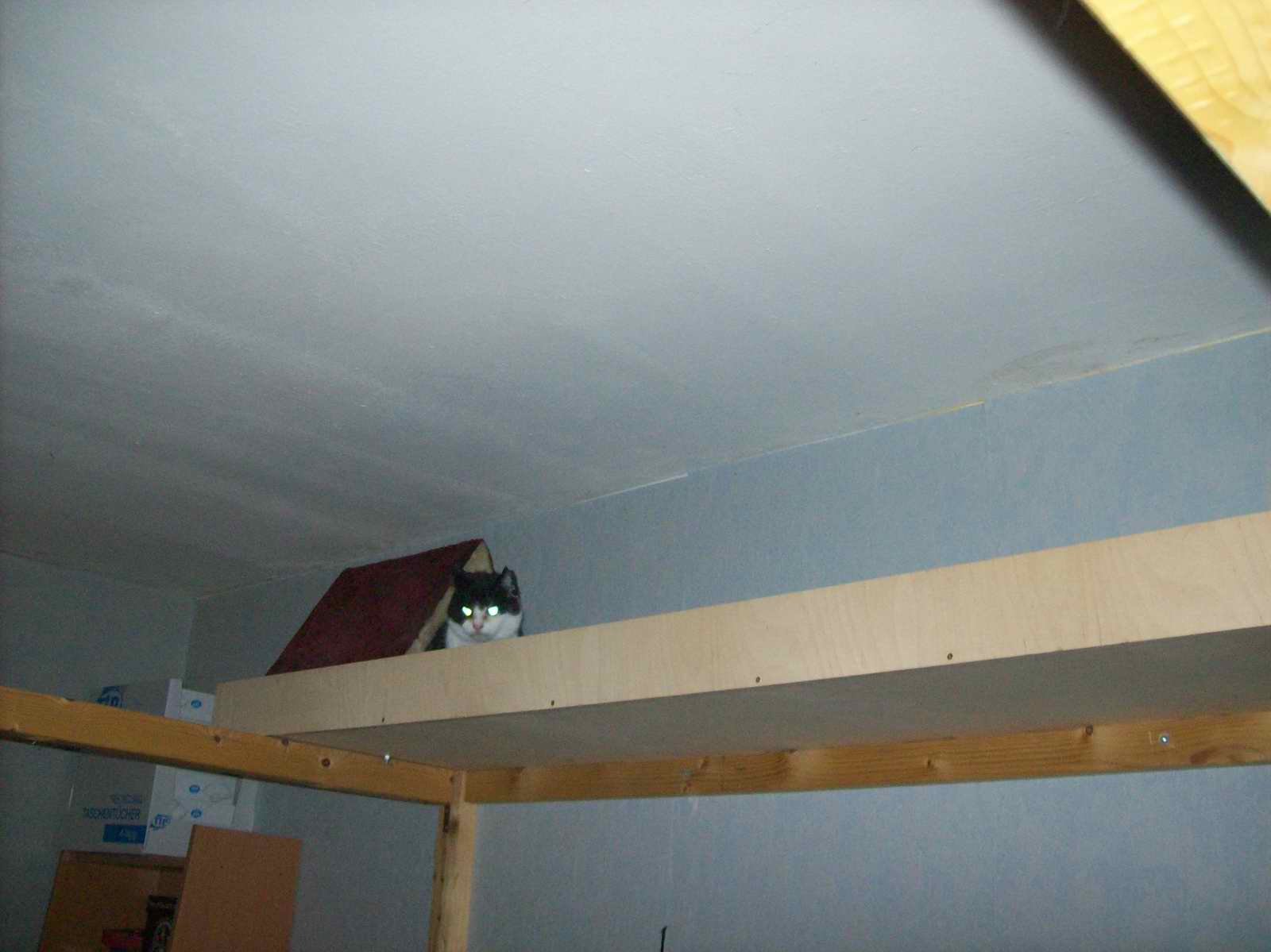 100_1211.JPG