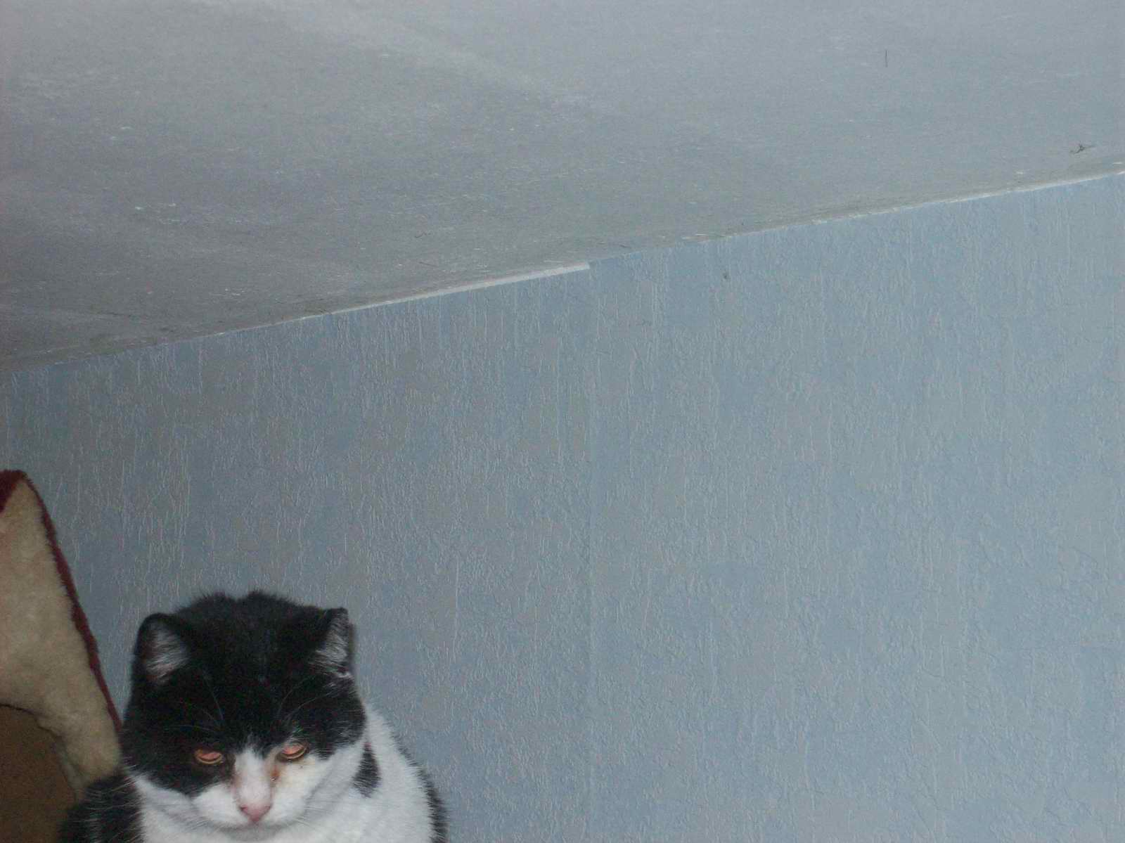 100_1213.JPG