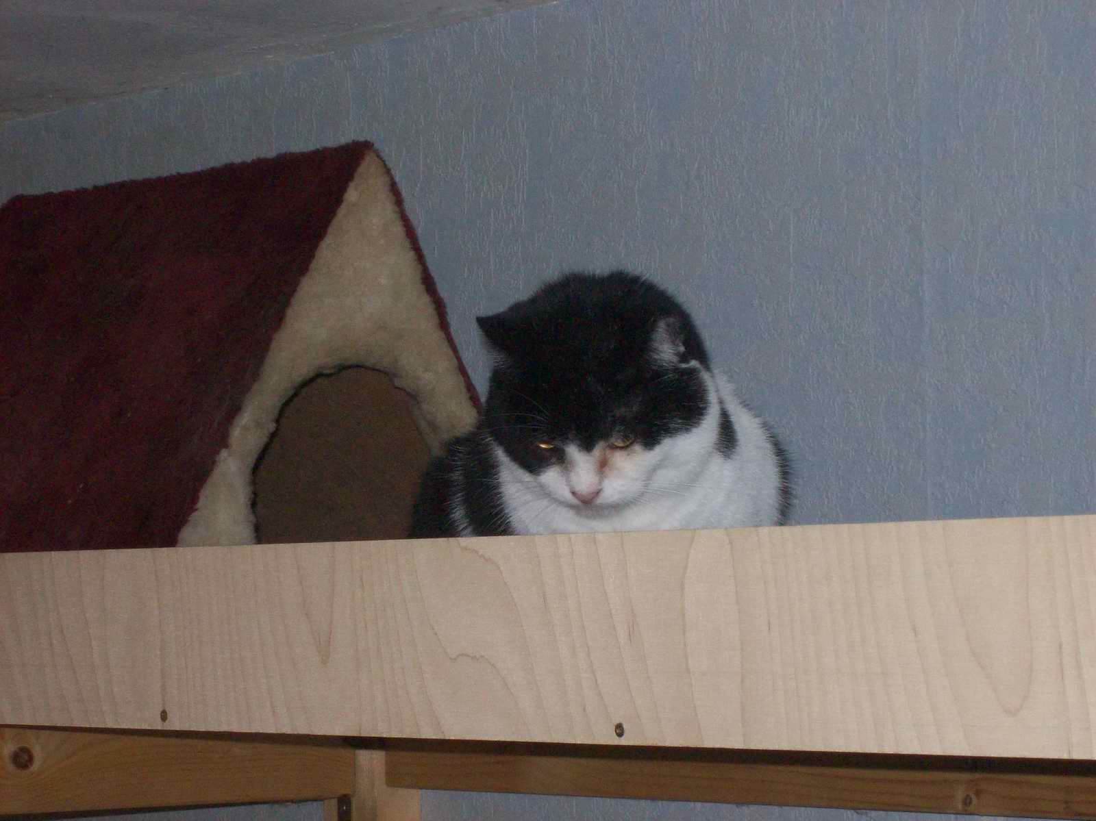 100_1214.JPG