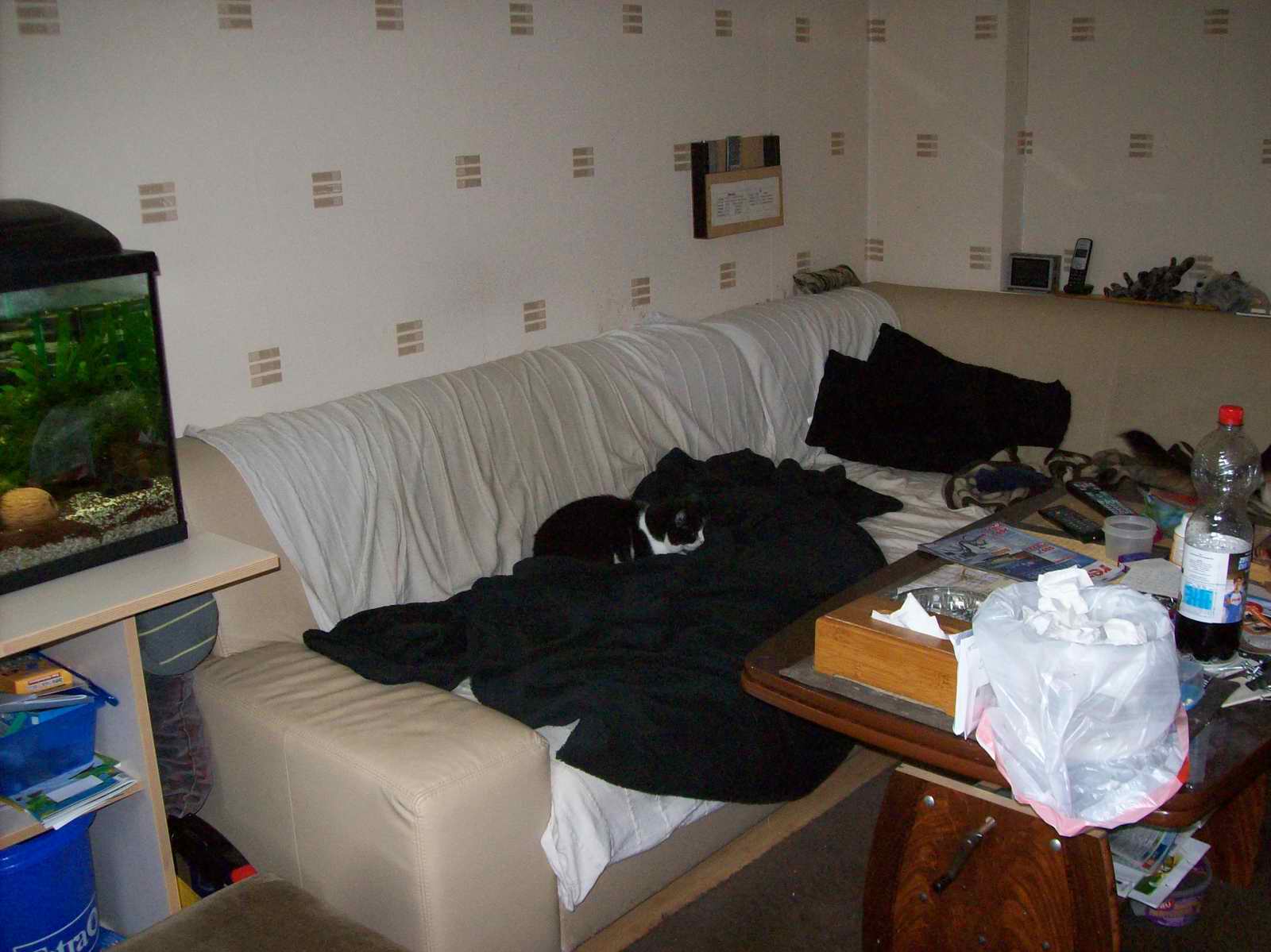 100_1239.JPG