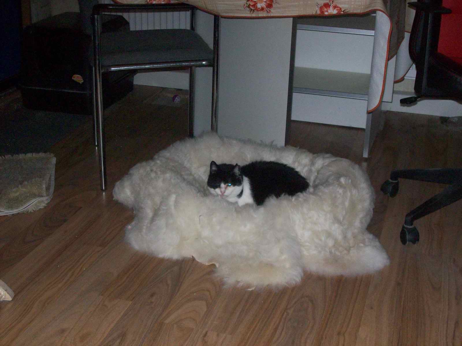 100_1250.JPG